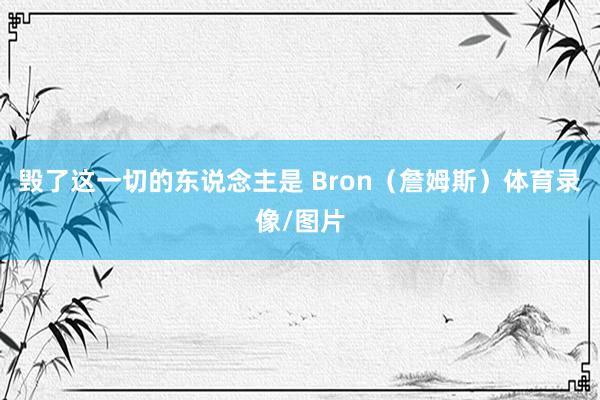 毁了这一切的东说念主是 Bron（詹姆斯）体育录像/图片