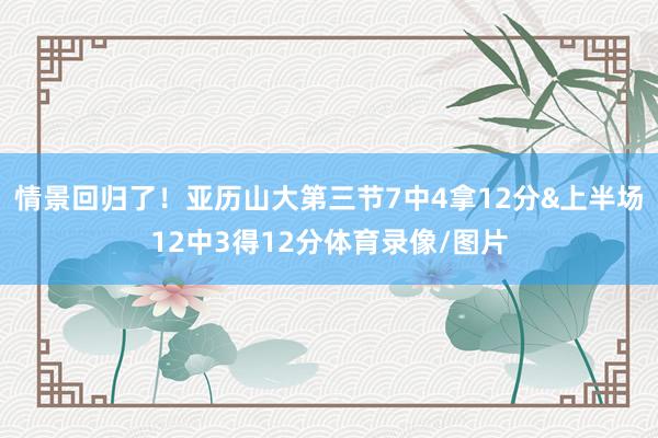 情景回归了！亚历山大第三节7中4拿12分&上半场12中3得12分体育录像/图片