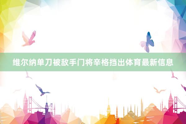 维尔纳单刀被敌手门将辛格挡出体育最新信息