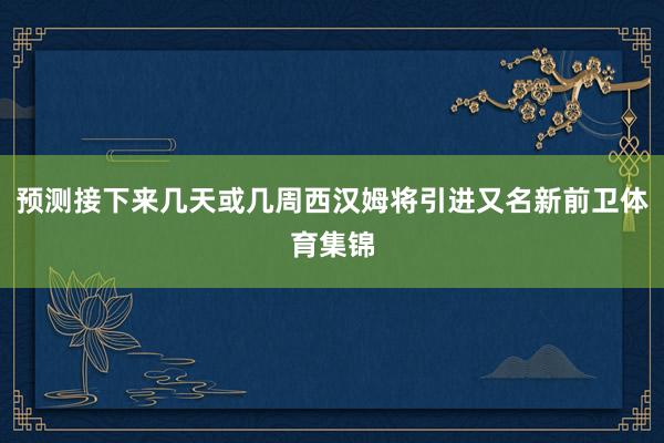 预测接下来几天或几周西汉姆将引进又名新前卫体育集锦