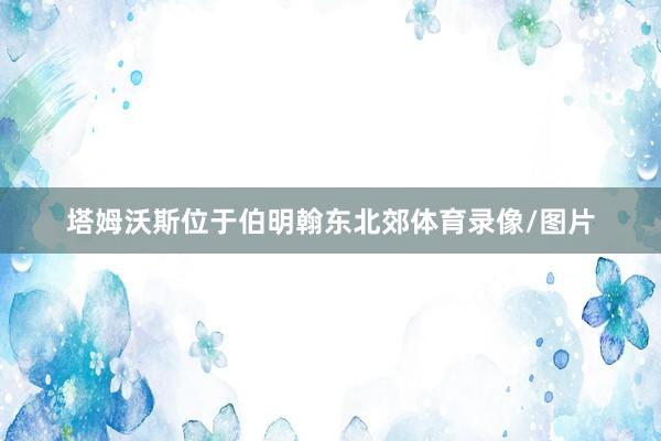 塔姆沃斯位于伯明翰东北郊体育录像/图片