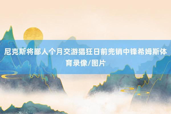 尼克斯将鄙人个月交游猖狂日前兜销中锋希姆斯体育录像/图片