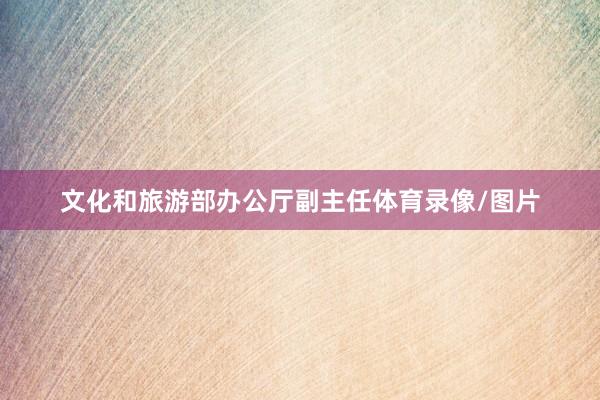 文化和旅游部办公厅副主任体育录像/图片