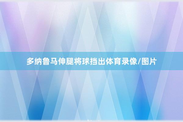 多纳鲁马伸腿将球挡出体育录像/图片