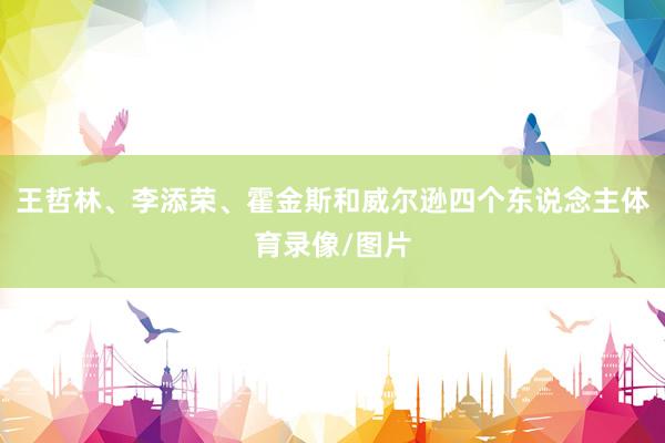 王哲林、李添荣、霍金斯和威尔逊四个东说念主体育录像/图片