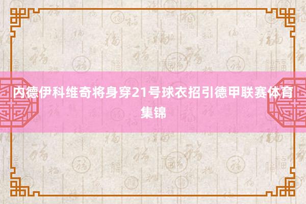 内德伊科维奇将身穿21号球衣招引德甲联赛体育集锦