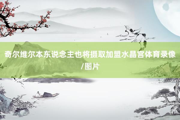奇尔维尔本东说念主也将摄取加盟水晶宫体育录像/图片