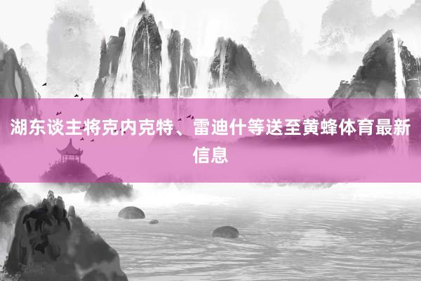湖东谈主将克内克特、雷迪什等送至黄蜂体育最新信息