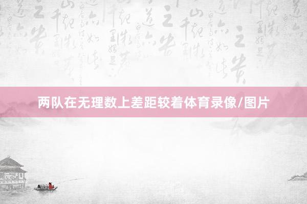 两队在无理数上差距较着体育录像/图片