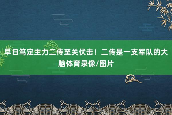 早日笃定主力二传至关伏击！二传是一支军队的大脑体育录像/图片
