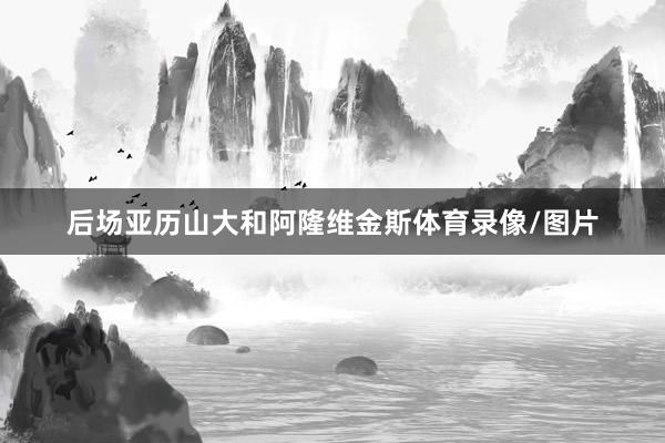 后场亚历山大和阿隆维金斯体育录像/图片
