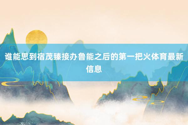 谁能思到宿茂臻接办鲁能之后的第一把火体育最新信息