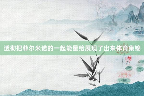 透彻把菲尔米诺的一起能量给展现了出来体育集锦