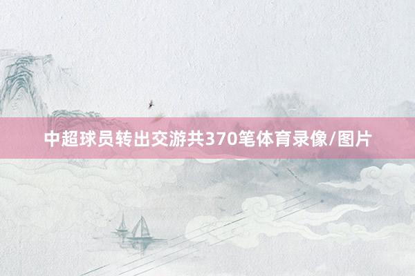中超球员转出交游共370笔体育录像/图片