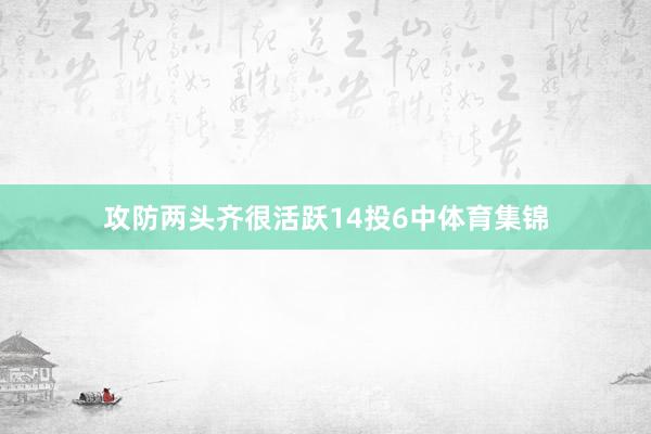 攻防两头齐很活跃14投6中体育集锦