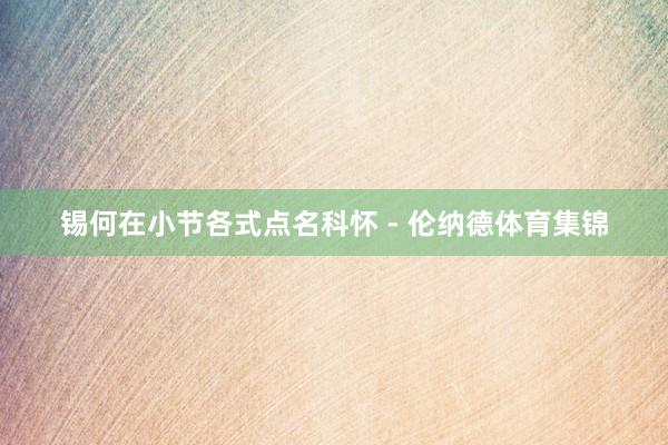 锡何在小节各式点名科怀 - 伦纳德体育集锦