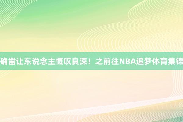 确凿让东说念主慨叹良深！之前往NBA追梦体育集锦