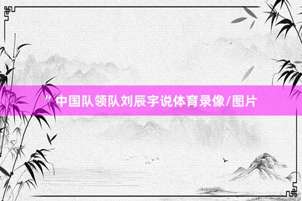 ”中国队领队刘辰宇说体育录像/图片