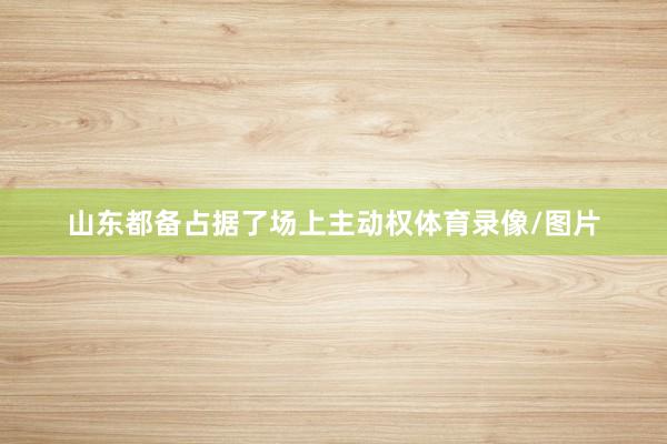山东都备占据了场上主动权体育录像/图片