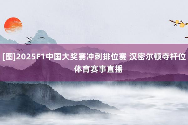 [图]2025F1中国大奖赛冲刺排位赛 汉密尔顿夺杆位    体育赛事直播