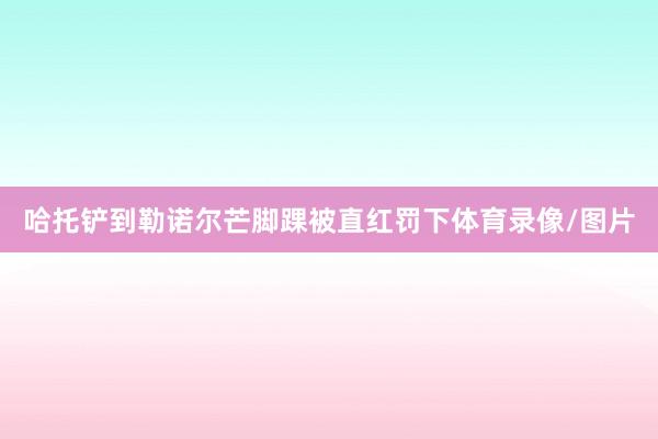 哈托铲到勒诺尔芒脚踝被直红罚下体育录像/图片