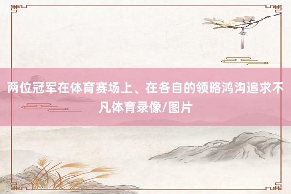 两位冠军在体育赛场上、在各自的领略鸿沟追求不凡体育录像/图片