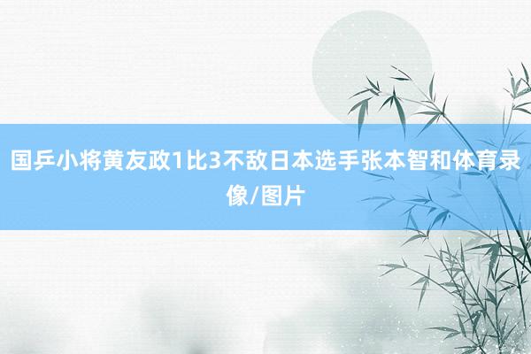 国乒小将黄友政1比3不敌日本选手张本智和体育录像/图片
