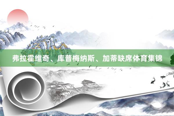 弗拉霍维奇、库普梅纳斯、加蒂缺席体育集锦