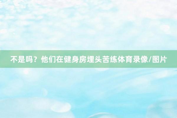 不是吗？他们在健身房埋头苦练体育录像/图片