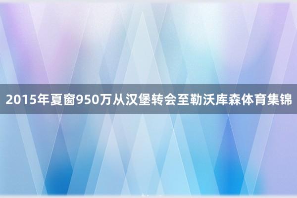 2015年夏窗950万从汉堡转会至勒沃库森体育集锦
