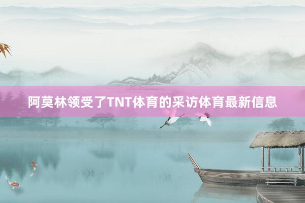 阿莫林领受了TNT体育的采访体育最新信息