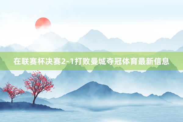 在联赛杯决赛2-1打败曼城夺冠体育最新信息
