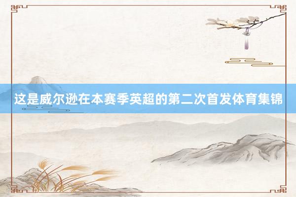 这是威尔逊在本赛季英超的第二次首发体育集锦