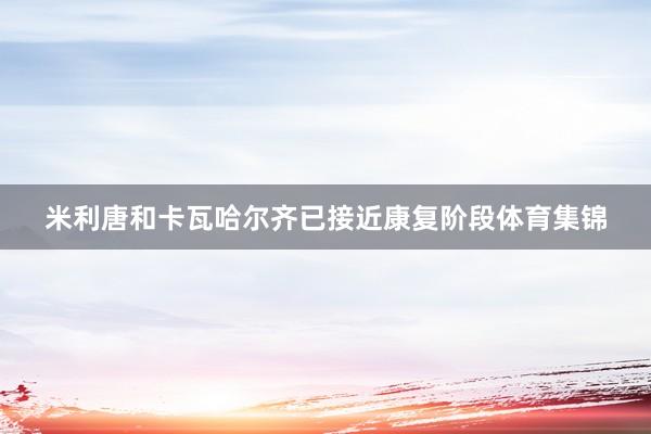 米利唐和卡瓦哈尔齐已接近康复阶段体育集锦