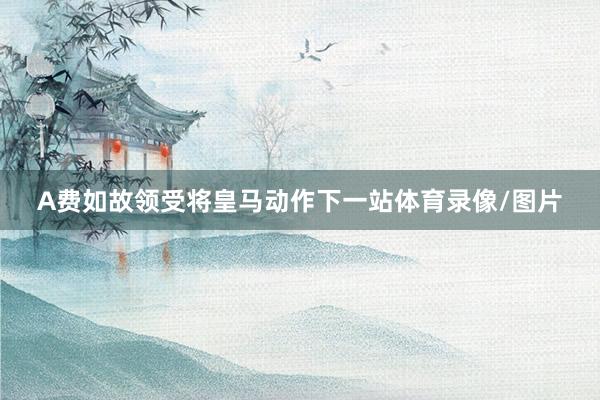 A费如故领受将皇马动作下一站体育录像/图片