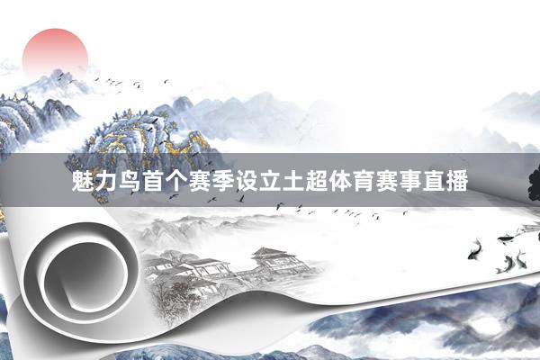魅力鸟首个赛季设立土超体育赛事直播