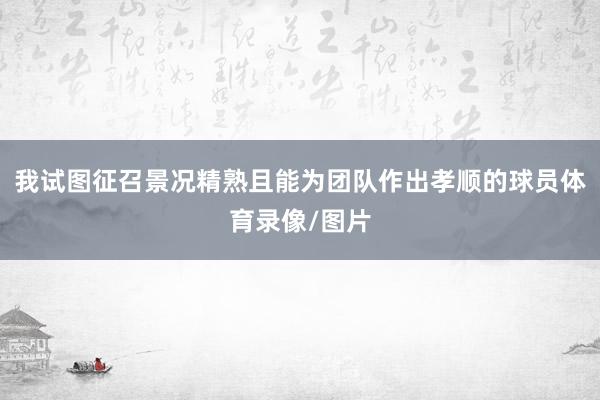 我试图征召景况精熟且能为团队作出孝顺的球员体育录像/图片