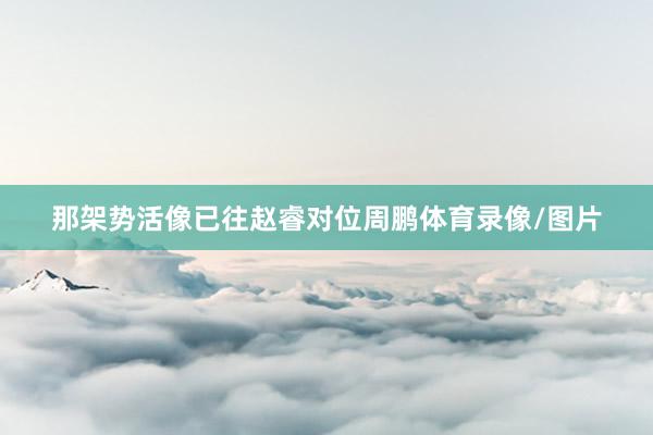 那架势活像已往赵睿对位周鹏体育录像/图片