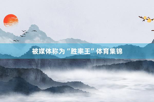 被媒体称为“胜率王”体育集锦