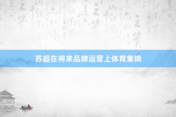 苏超在将来品牌运营上体育集锦