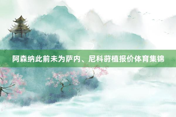阿森纳此前未为萨内、尼科莳植报价体育集锦