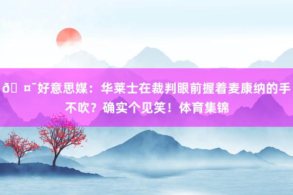 🤯好意思媒:华莱士在裁判眼前握着麦康纳的手不吹?确实个见笑!体育集锦