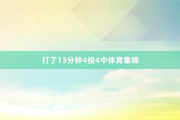 打了13分钟4投4中体育集锦