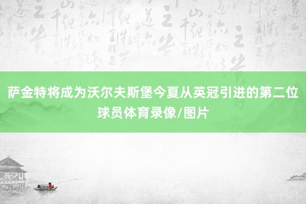 萨金特将成为沃尔夫斯堡今夏从英冠引进的第二位球员体育录像/图片