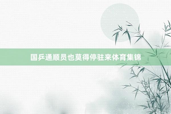国乒通顺员也莫得停驻来体育集锦