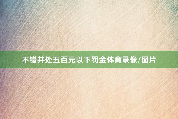 不错并处五百元以下罚金体育录像/图片