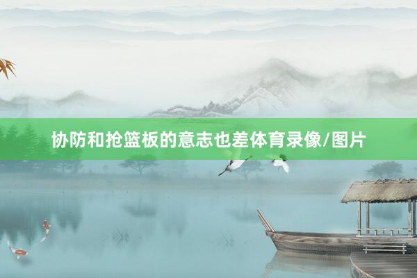 协防和抢篮板的意志也差体育录像/图片