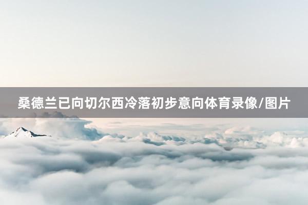 桑德兰已向切尔西冷落初步意向体育录像/图片