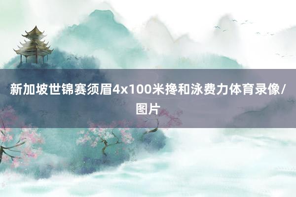 新加坡世锦赛须眉4x100米搀和泳费力体育录像/图片