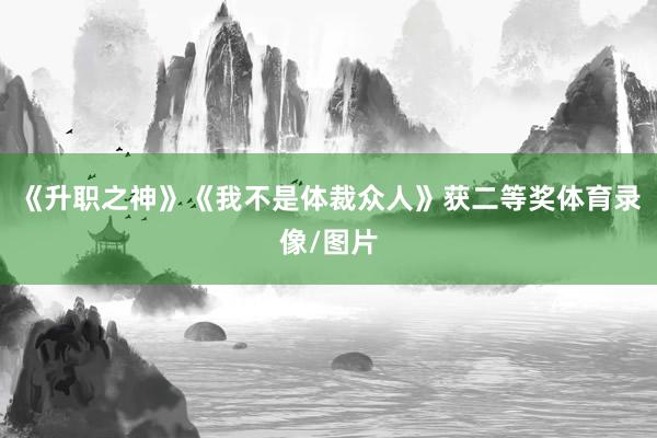 《升职之神》《我不是体裁众人》获二等奖体育录像/图片